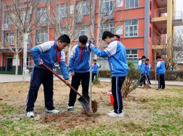 亮点！植树护绿，剪纸传情～肥乡这场校园活动超有料！