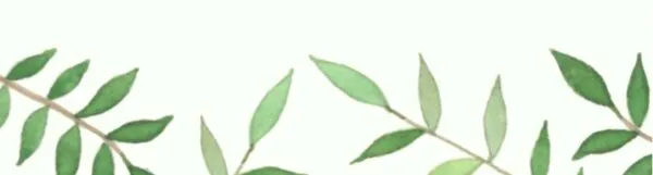 亮点!植树护绿,剪纸传情~肥乡这场校园活动超有料!