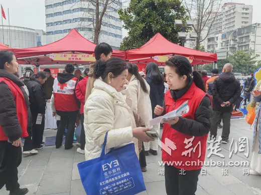 党员志愿展风采 热血助力文明花