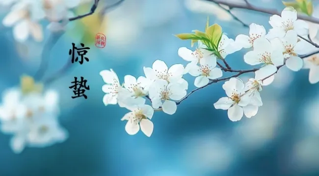惊蛰:春雷来信,花开有期 惊蛰:春雷来信,花开有期