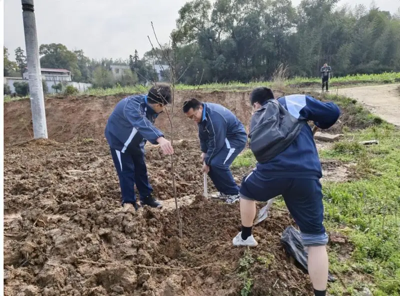 我爱湘潭我的家:“厚植”红色基因 守护绿色未来 —— 湘潭市二中2025年植树节活动 我爱湘潭我的家:“厚植”红色基因 守护绿色未来 —— 湘潭市二中2025年植树节活动