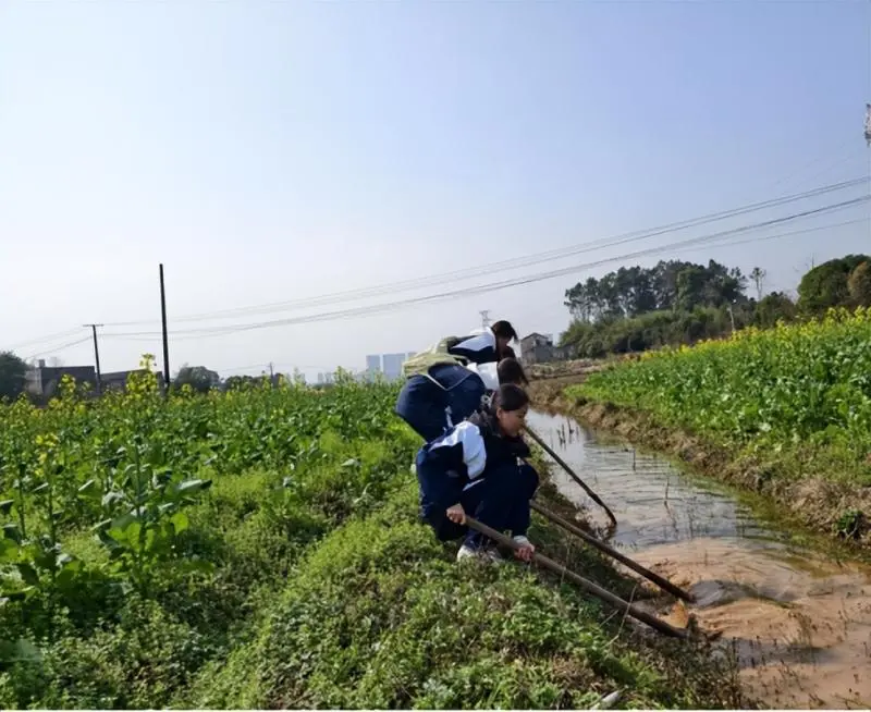 我爱湘潭我的家:“厚植”红色基因 守护绿色未来 —— 湘潭市二中2025年植树节活动 我爱湘潭我的家:“厚植”红色基因 守护绿色未来 —— 湘潭市二中2025年植树节活动