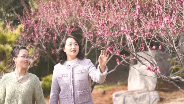 磁州水墨园: 梅花吐蕊 幽香满园