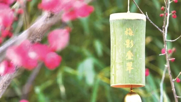 磁州水墨园: 梅花吐蕊 幽香满园