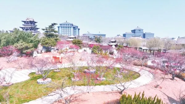 磁州水墨园: 梅花吐蕊 幽香满园