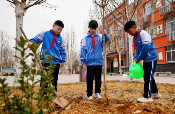 亮点！植树护绿，剪纸传情～肥乡这场校园活动超有料！