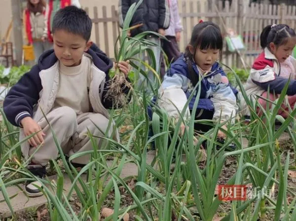 校园农场播种忙,爱心蔬菜送邻里