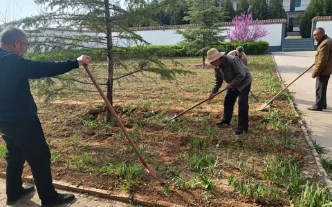 河北邯郸乡村振兴新风貌 绘就磁县观台镇新画卷