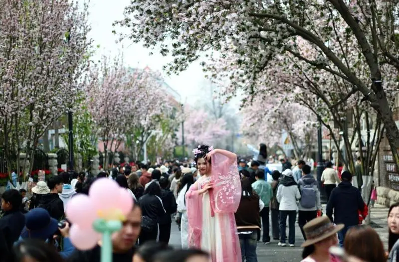 花开津沽点亮“春日经济” 花开津沽点亮“春日经济”