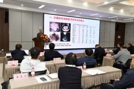 聚焦甘薯种业创新,共绘乡村振兴蓝图——2025年甘薯种业创新发展高峰论坛即将启幕 聚焦甘薯种业创新,共绘乡村振兴蓝图——2025年甘薯种业创新发展高峰论坛即将启幕