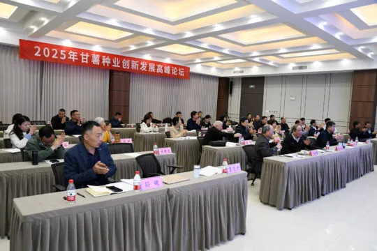 聚焦甘薯种业创新,共绘乡村振兴蓝图——2025年甘薯种业创新发展高峰论坛即将启幕 聚焦甘薯种业创新,共绘乡村振兴蓝图——2025年甘薯种业创新发展高峰论坛即将启幕