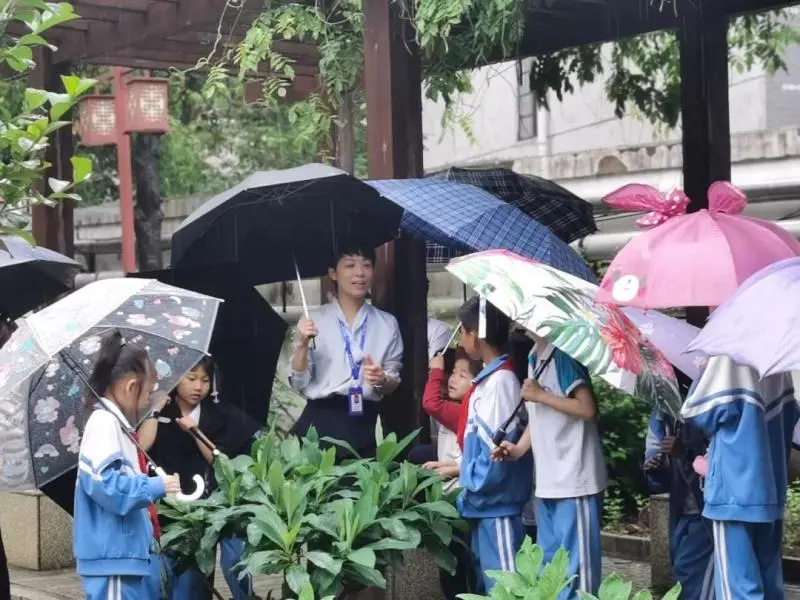 童梦邂逅岐黄,国医薪火相传 童梦邂逅岐黄,国医薪火相传