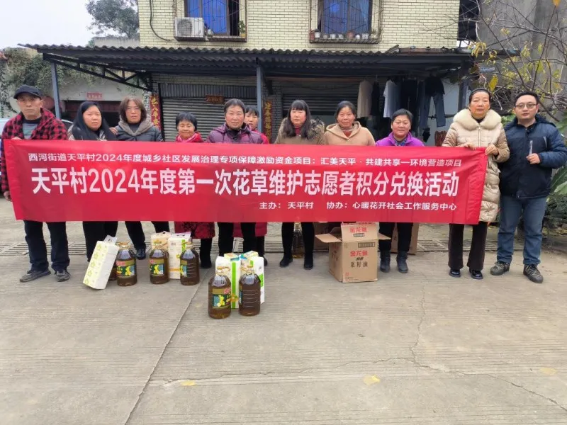 西河街道天平村环境治理项目总结