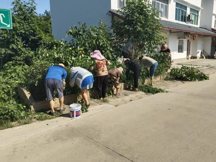 西河街道天平村环境治理项目总结