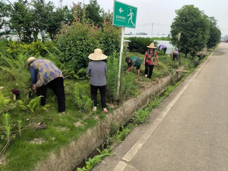 西河街道天平村环境治理项目总结