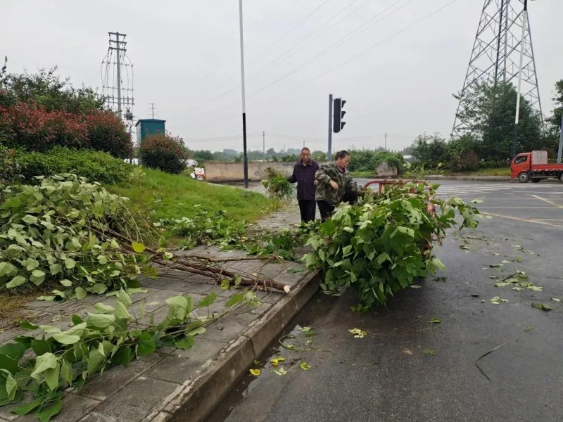 西河街道天平村环境治理项目总结