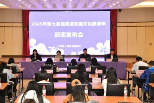 昆明蓝花楹文化旅游季:赏花经济 多彩融合 昆明蓝花楹文化旅游季:赏花经济 多彩融合