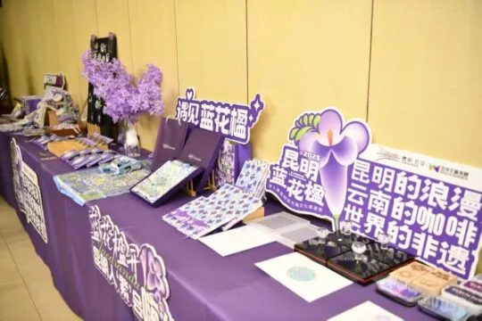 昆明蓝花楹文化旅游季:赏花经济 多彩融合 昆明蓝花楹文化旅游季:赏花经济 多彩融合