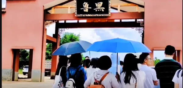 春末限定！鲁黑村无刺黄泡采摘，解锁田园诗意时光