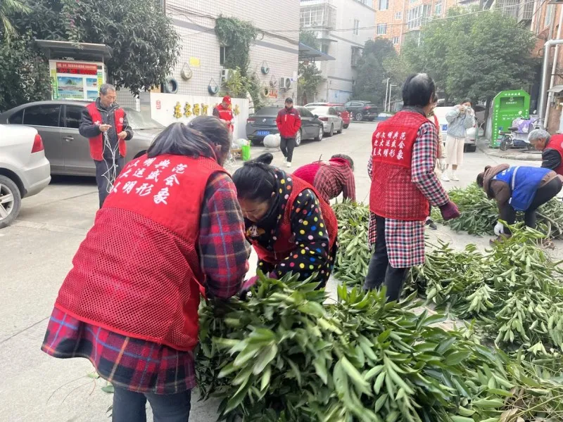居民共治焕新颜!上游社区“小区焕新·一路向阳”活动获点赞 居民共治焕新颜!上游社区“小区焕新·一路向阳”活动获点赞