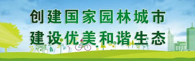 王元峰主持召开重点项目建设专题调度会议 王元峰主持召开重点项目建设专题调度会议