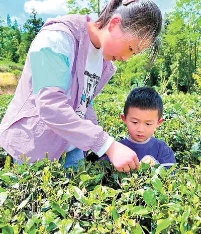 中小学春秋假,如何放得好推得开? 中小学春秋假,如何放得好推得开?