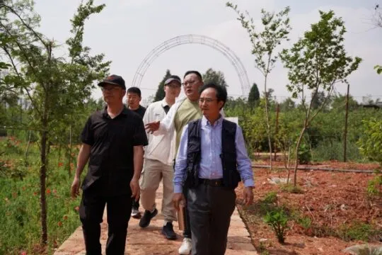 文化赋能绘新卷 鲁黑村奏响乡村振兴最强音 文化赋能绘新卷 鲁黑村奏响乡村振兴最强音