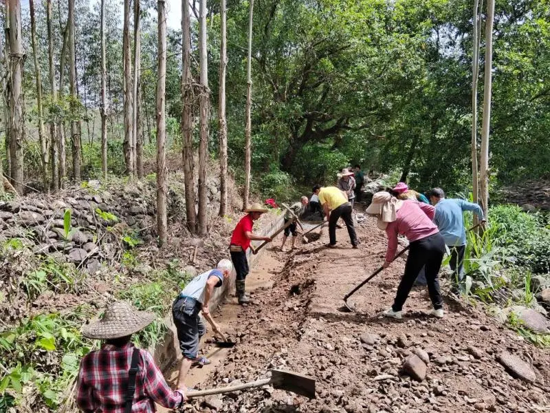 打好抗旱主动仗 助农稳产保丰收——多地抗旱保农一线观察 打好抗旱主动仗 助农稳产保丰收——多地抗旱保农一线观察