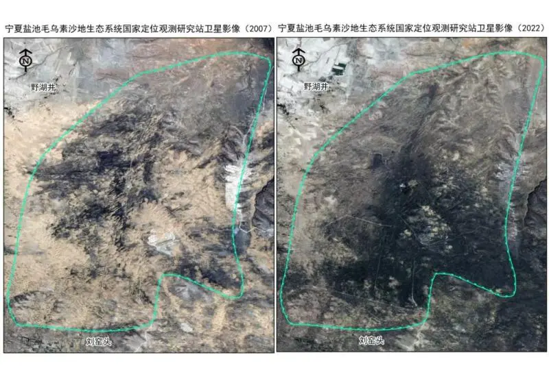 报效祖国 建功西部丨20多年青春接力——这群年轻人在荒漠构筑“绿色长城” 报效祖国 建功西部丨20多年青春接力——这群年轻人在荒漠构筑“绿色长城”