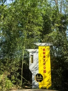 昆明公交开通寻根南京柳树湾 跨越600年的血脉之旅 昆明公交开通寻根南京柳树湾 跨越600年的血脉之旅