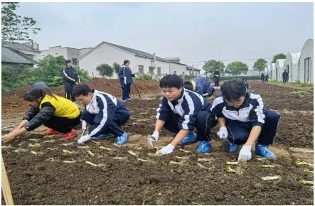 喜 报 喜 报