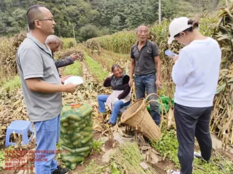 扎根乡镇基层沃土 绽放最美政法之花 —会泽县大井镇吕坚“最美政法干警”主要事迹材料 扎根乡镇基层沃土 绽放最美政法之花 —会泽县大井镇吕坚“最美政法干警”主要事迹材料