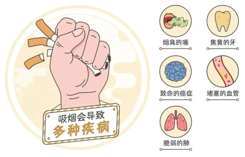 【世界无烟日】拒绝烟草诱惑,对第一支烟说“不”! 【世界无烟日】拒绝烟草诱惑,对第一支烟说“不”!