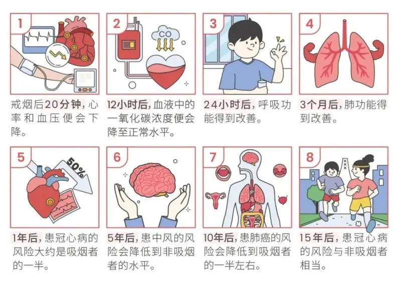 【世界无烟日】拒绝烟草诱惑,对第一支烟说“不”! 【世界无烟日】拒绝烟草诱惑,对第一支烟说“不”!
