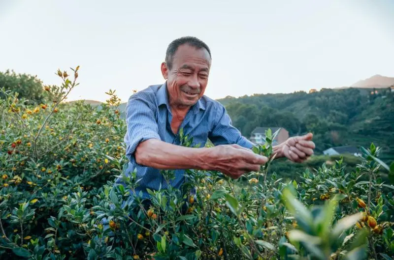 实力印证!扬子江药业集团再夺金远奖 实力印证!扬子江药业集团再夺金远奖