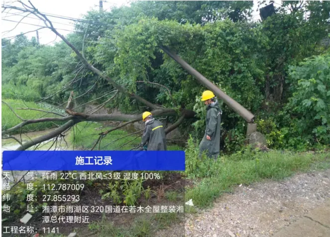 雨湖区多部门紧急联动 高效处置铁路沿线树木侵倒险情 雨湖区多部门紧急联动 高效处置铁路沿线树木侵倒险情