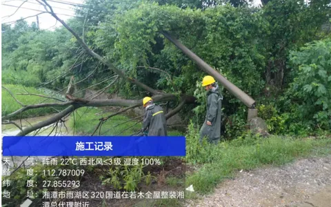 雨湖区多部门紧急联动 高效处置铁路沿线树木侵倒险情