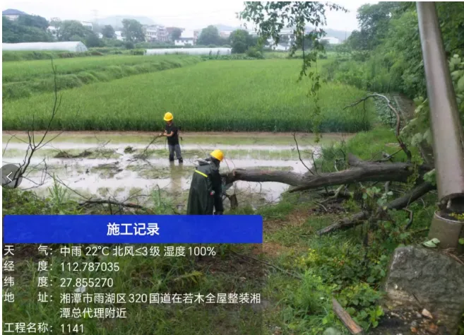 雨湖区多部门紧急联动 高效处置铁路沿线树木侵倒险情 雨湖区多部门紧急联动 高效处置铁路沿线树木侵倒险情