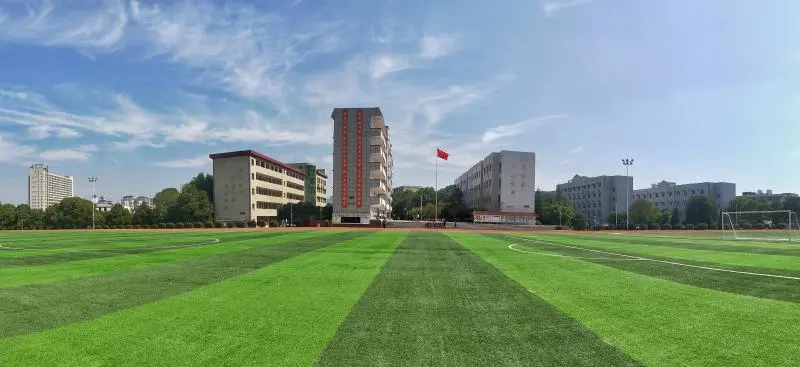 梧桐新枝承玉露，凤形山上谱华章——湘潭凤凰中学2025届高考喜报