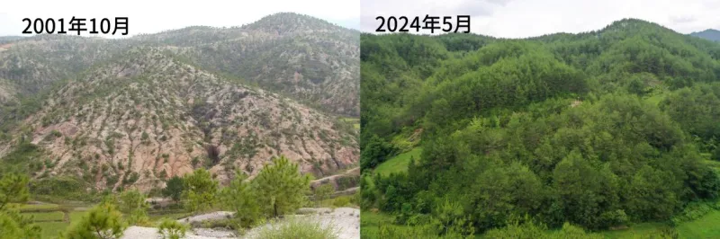 行进中国丨“小傅,咱种的粮增产啦!” 行进中国丨“小傅,咱种的粮增产啦!”