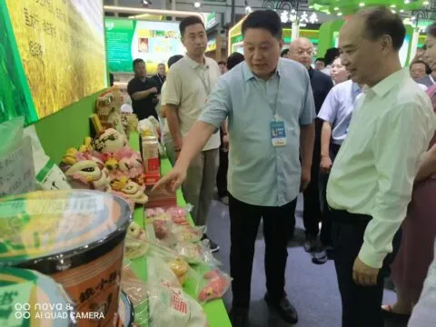 获嘉小小花馍里的做大文章:从文化传承到国际对话 获嘉小小花馍里的做大文章:从文化传承到国际对话