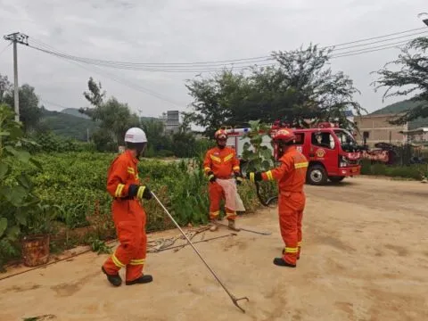 砚山消防成功捕获1.5米眼镜王蛇 现场目睹 砚山消防成功捕获1.5米眼镜王蛇 现场目睹