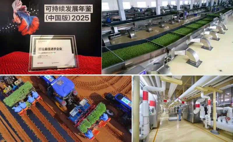 用“新”突围,康师傅布局增量市场 用“新”突围,康师傅布局增量市场