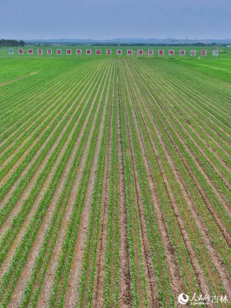 行进中国|流动的黑土地思政课 行进中国|流动的黑土地思政课