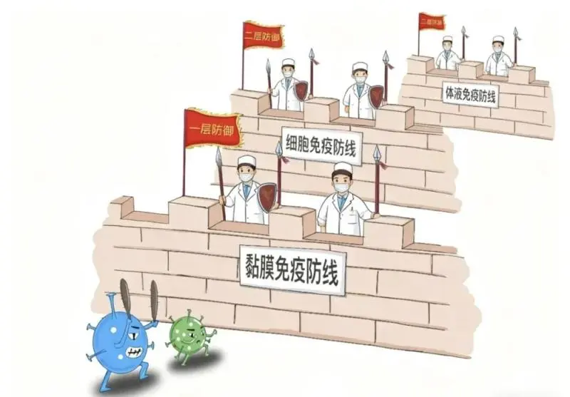 流感季来临,孩子怕打针?试试鼻喷流感疫苗 流感季来临,孩子怕打针?试试鼻喷流感疫苗
