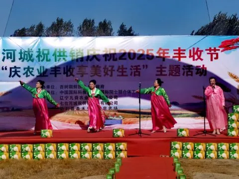 杏树朝鲜族乡举办水稻收割节 政企农协同绘“丰”景科技赋能庆丰收