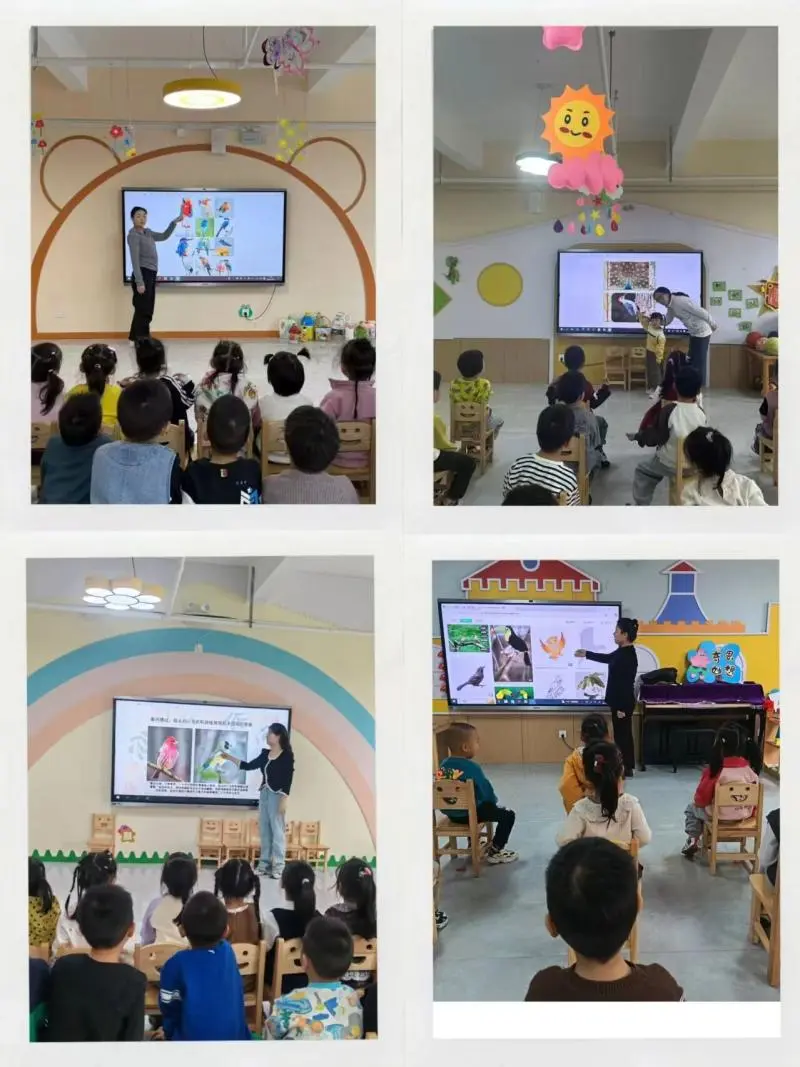 【美好四幼】爱鸟护鸟，“羽”你同行——丛台区第四幼儿园爱鸟护鸟周系列活动