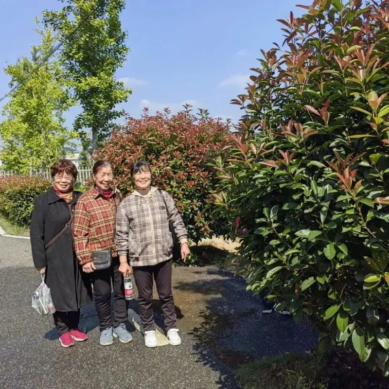 重阳敬老情电中一家亲——湘机中学精心组织2025年“重阳节”敬老活动 重阳敬老情电中一家亲——湘机中学精心组织2025年“重阳节”敬老活动