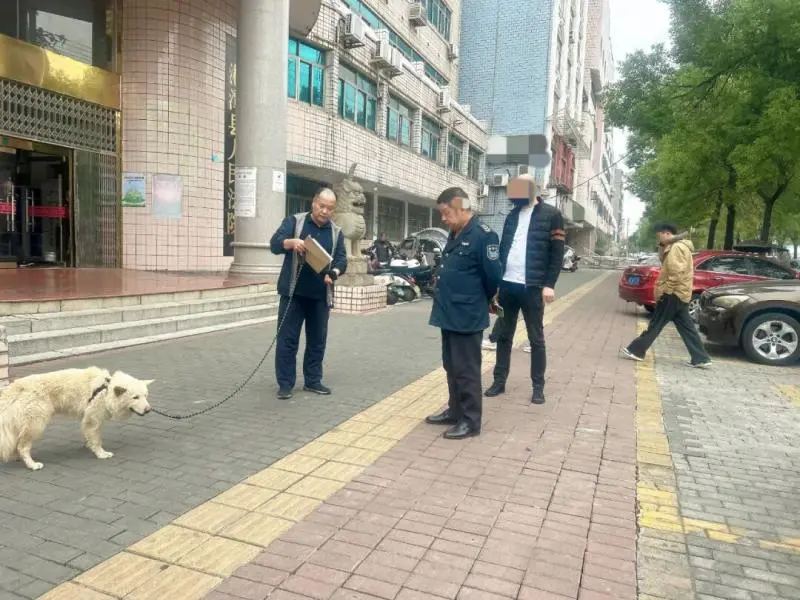 "团团"寻回记:一通电话,一场调解,一场跨越数月的"团圆"