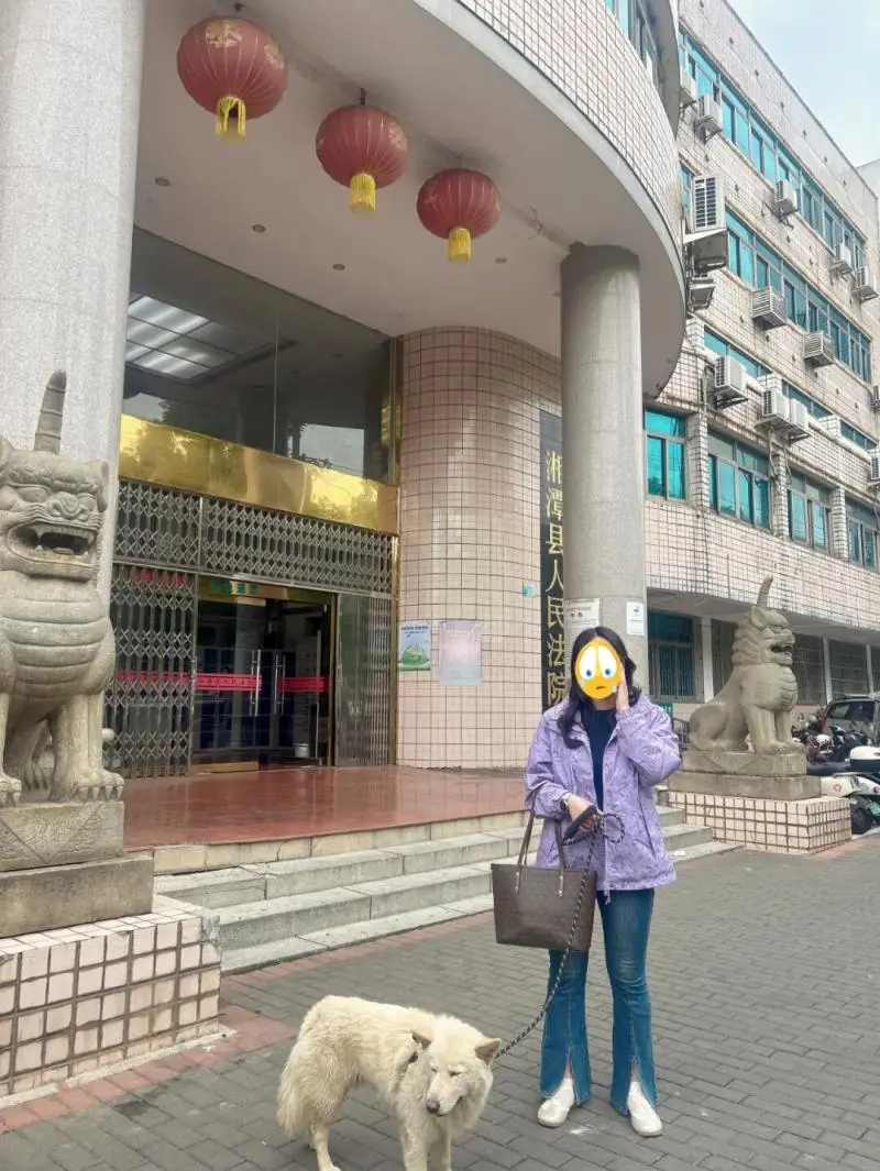 "团团"寻回记:一通电话,一场调解,一场跨越数月的"团圆"